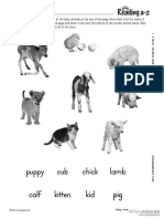 Baby Animals - Worksheet