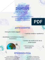 Dengue Exposicion
