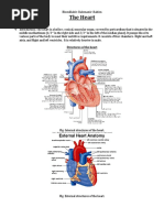 Frog Heart Anatomy and Function | PDF | Heart | Atrium (Heart)