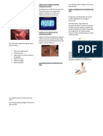 Qué Es El VPH Triptico