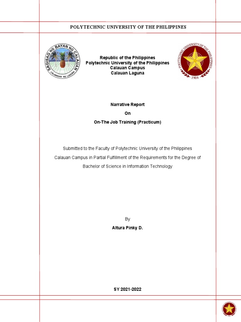 Portfolio Pinky Pdf Cognition