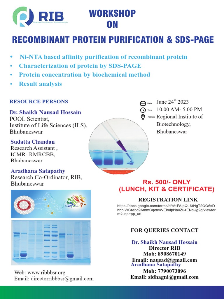 Recombinant Protein Purification Workshop | PDF