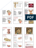 12 - Kadın Iç Genital 1