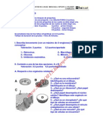 Biologia Selectividad Examen 4 Resuelto Castilla La Mancha Www.siglo21x.blogspot