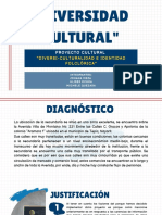 Proyecto Diversidad Cultural