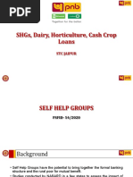 SHG-Bank Linkage Master Circular 2025 | PDF | Banks | Reserve Bank Of India