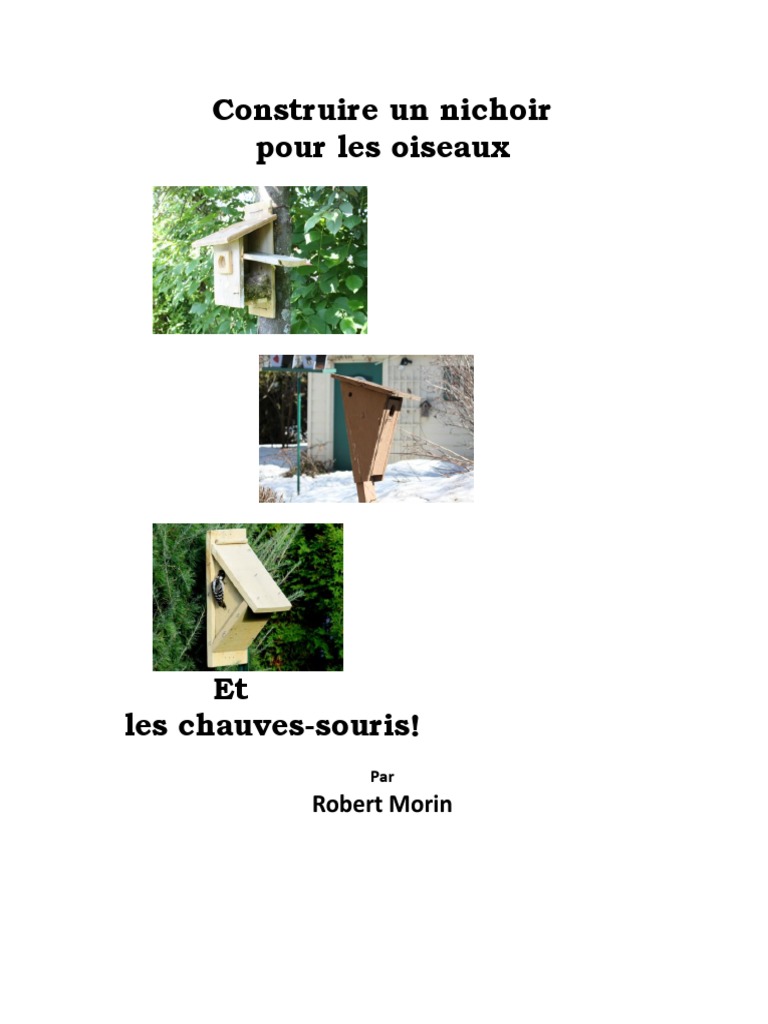 Lot De 4 Nichoirs à Oiseaux à Peindre – Kit DIY Enfants 3-6 Ans, Bricolage Créatif Pour Garçons Et Filles