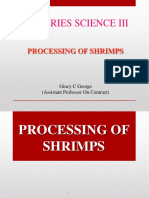 Shrimp Processing