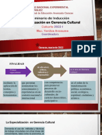Seminario Especializacion Gerencia Cultural