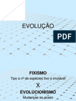 EVOLUÇÃO