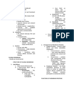 Cellular Organization Notes