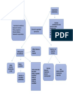 Dimencion Organizada Operacional