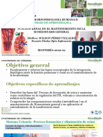 Morfologia y Funcion Renal 2022-02