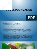 POLINIZACION