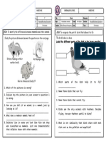 SCM - 4° Science - Worksheet 2