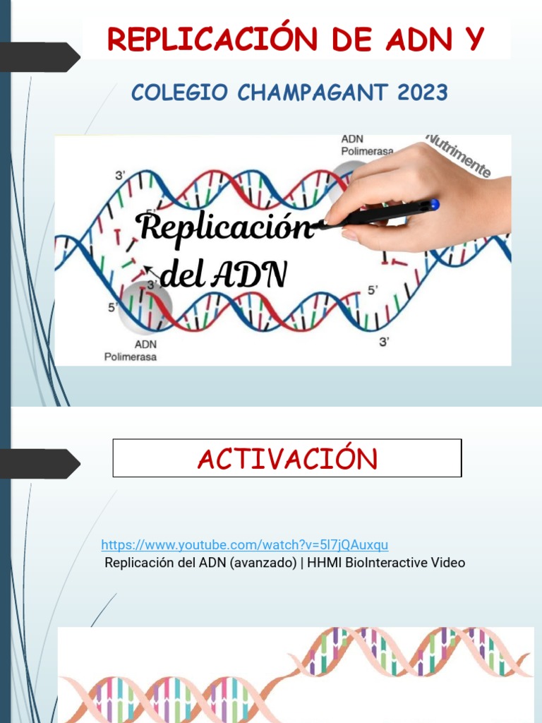 Proceso de Replicación del ADN | PDF | Replicación De Adn | Adn