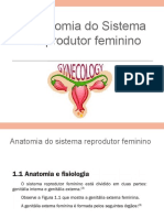 Anatomia Sistema Reprodutor Feminino