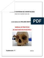 Anatomía Macroscópica Manual de Practicas 2-1