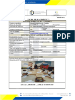 Ficha 1 - Ficha de Diagnóstico