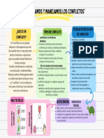 Organizador Visual DPCC-conflictos