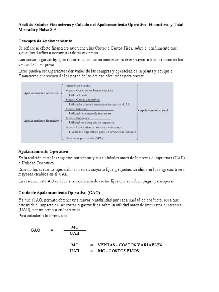 Análisis del Apalancamiento Financiero y Operativo | PDF ...