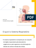Ufcd 72111 - Sistema Respiratorio 2021