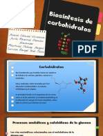 Biosintesis de Carbohidratos