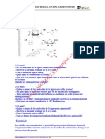 BIOLOGIA-SELECTIVIDAD-EXAMEN 5 RESUELTO-CATALUÑA-www.SIGLO21X.blogspot