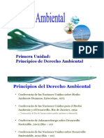 Derecho Ambiental 2 Principios Del D° Ambiental