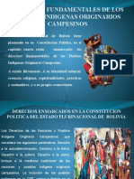 Derechos Fundamentales de Los Pueblos Indigenas Originarios Campesinos