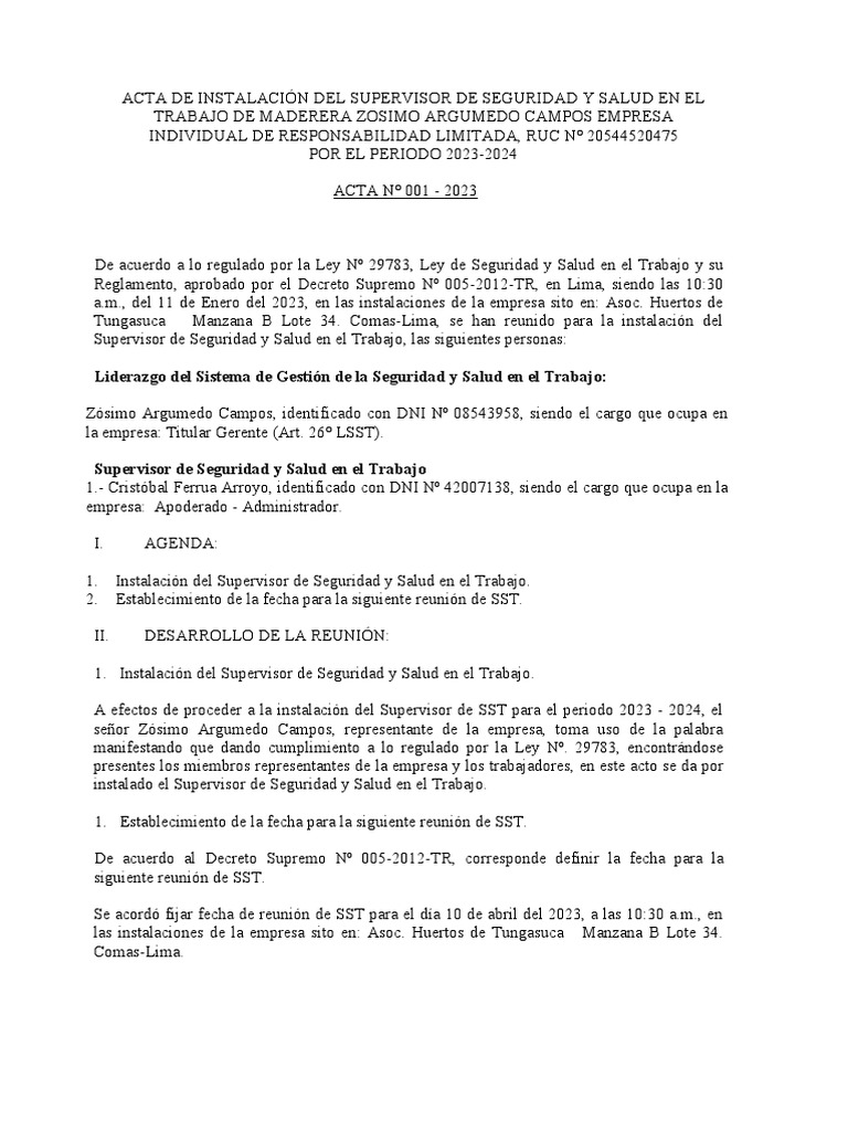 Acta de Instalación Del Supervisor de Seguridad y Salud en Word | PDF ...