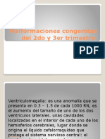 Malformaciones Del 2do y 3er Trimestre