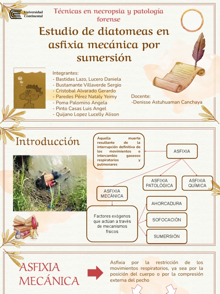Estudio de Diatomeas en Asfixia por Sumersión | PDF | Sistema ...