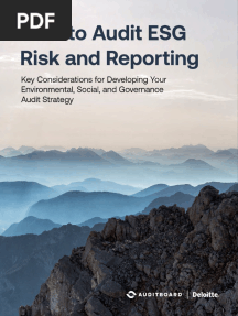 Audit ESG