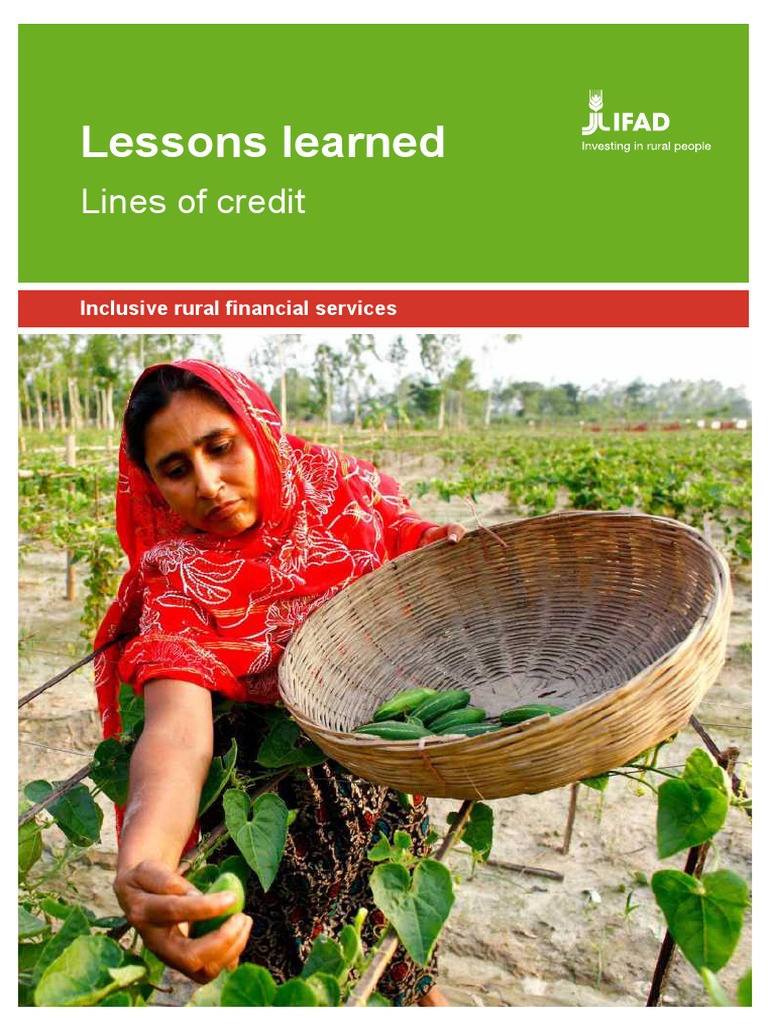 Ll Line Of Credit Pdf Microfinance Investing