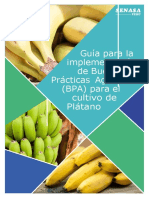 Guía BPA Plátano PDF