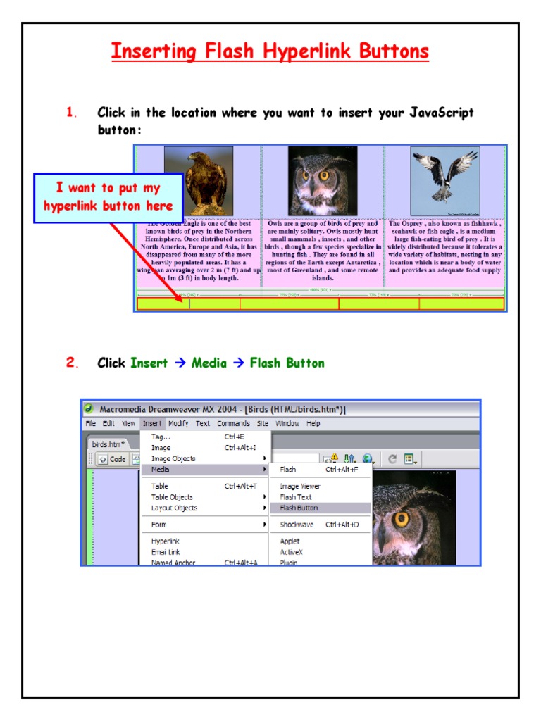 How to Insert Flash Hyperlink Buttons PDF