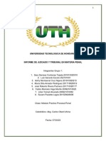 Informe Modulo Penal Juzgado y Tribunal