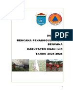 Dokumen RPB Kab - Ogan Ilir Tahun 2021-2025