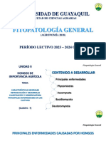 Tema 6. Características Generales Reproducción y Desarrollo Clasificación y Nomenclatura Principales Enfermedades en Los Cultivos
