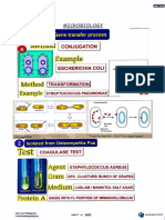 DVT Micro