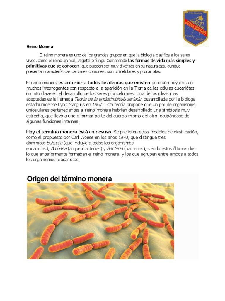 Características y clasificación del reino Monera | PDF | Las bacterias |  Procariota