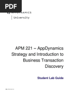 Apm 221 - Appdynamics Strategy and Introduction To Business Transaction Discovery