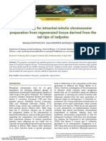 Pustovalova - Ea - 2022 - Methodology For Intravital Mitotic Chromosome