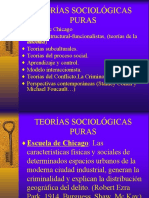 Teorias Sociologicaspuras 23