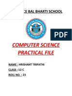 CS Files Practical