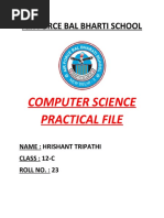 CS Files Practical