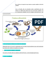 Flujo de Energía - Enfermedades - Parásitos - Resuelto