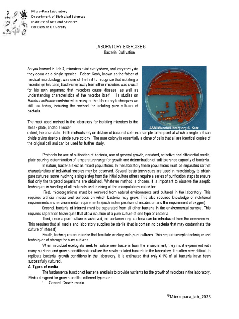 Micropara Lab-6 2023 | PDF | Growth Medium | Bacteria