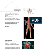 Beneficios de Realizar Ejercicios